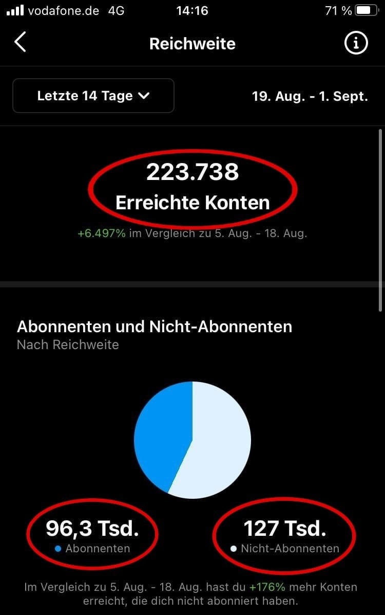 Ein Einblick in die Instagram Insights von "Frankfurt am Meme" zeigt, dass die Seite im August 2021 innerhalb von zwei Wochen mit ihren Inhalten mehr als doppelt so viele Accounts erreicht hat, wie ihr eigentlich folgen