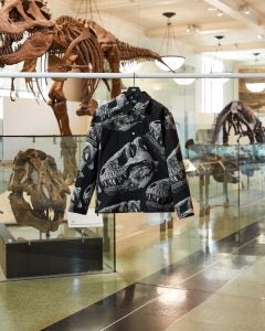 Kith x Museum x Natural History